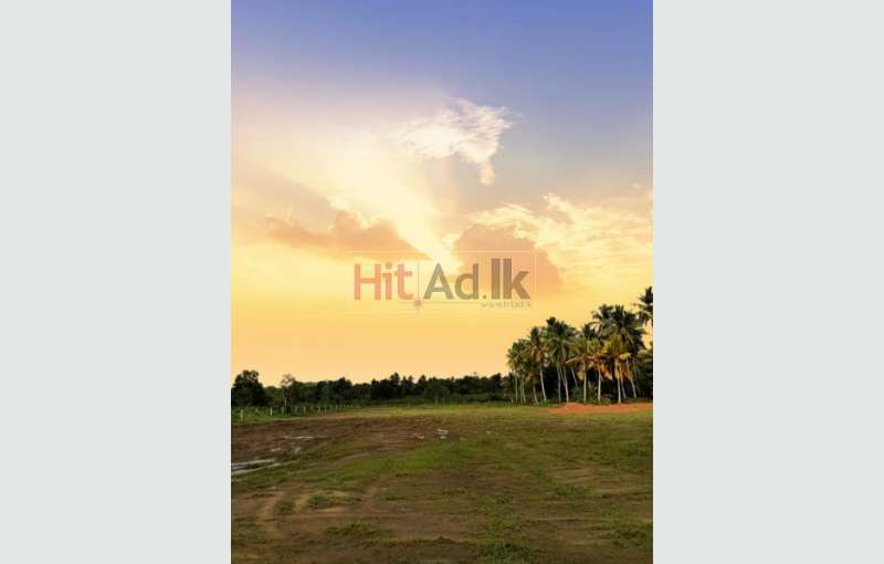 Land For Sale In Horana Keselhenawa