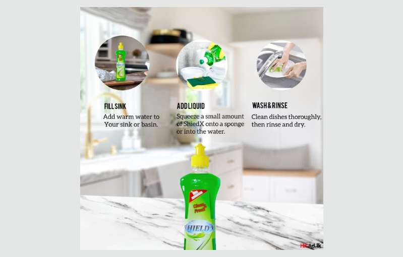 Affordable Shieldx Dishwashing Liquid - 199 Lkr - Bulk Supply Available!