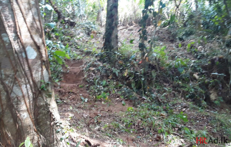 Land for sale in Kandy