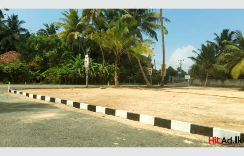 Land for sale in Walipanna