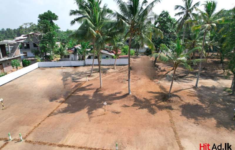 Wadduwa Land For Sale