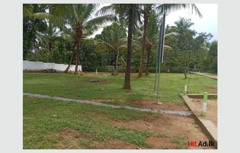 Land for sale in Halbarawa