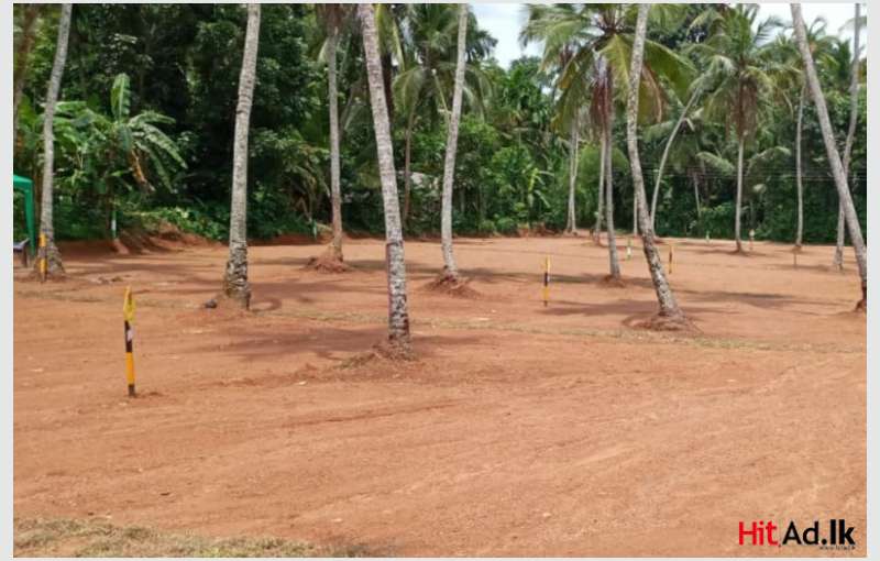 Land For Sale Near 120 Bus Road