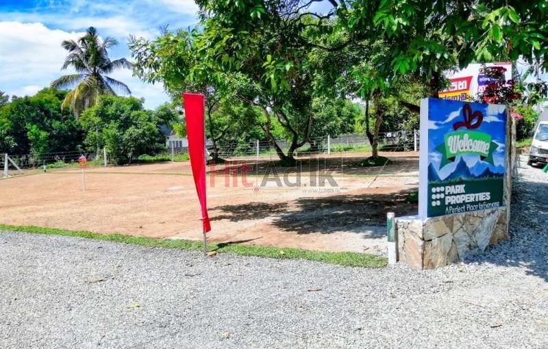 Land For Sale In Malwana