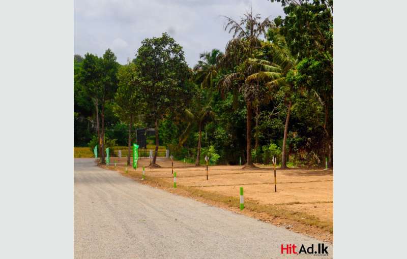 Luxury Land For Sale In Piliyandala