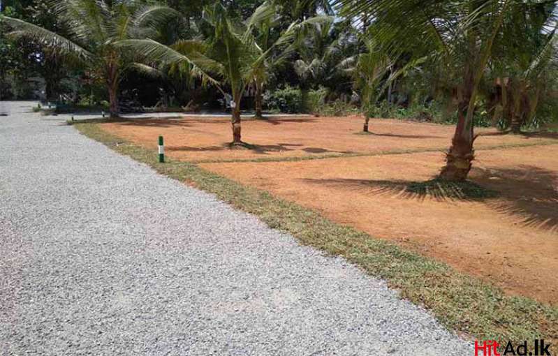 Fabulous Plots For sale -Kiriwaththuduwa