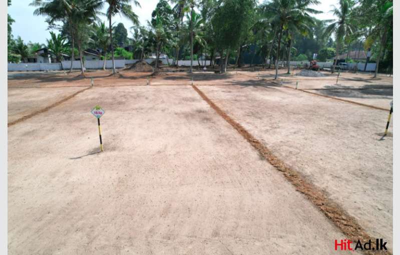 Land For Sale In Wadduwa