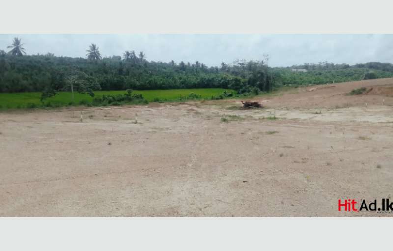 Induruwa peaceful land for sale