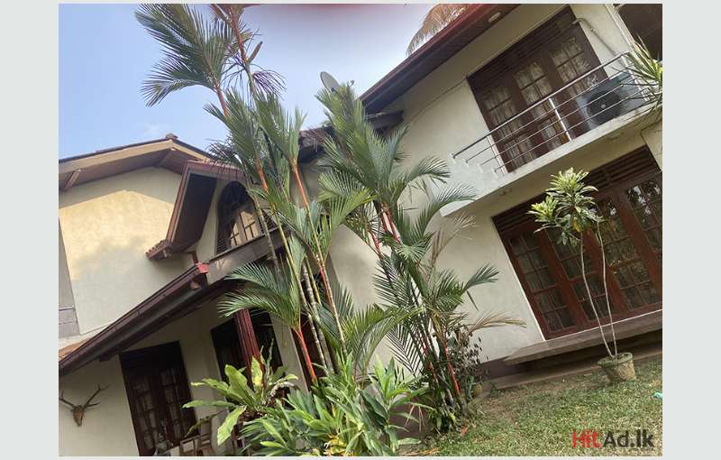 Two storey house for rent 