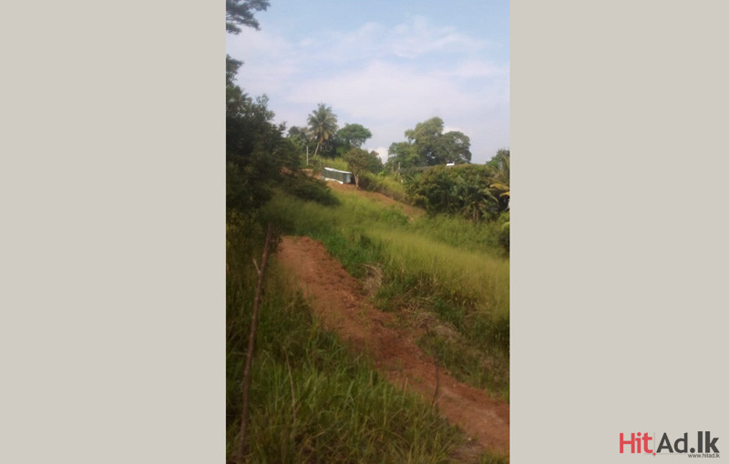 Hitad.lk Kandy land for sale