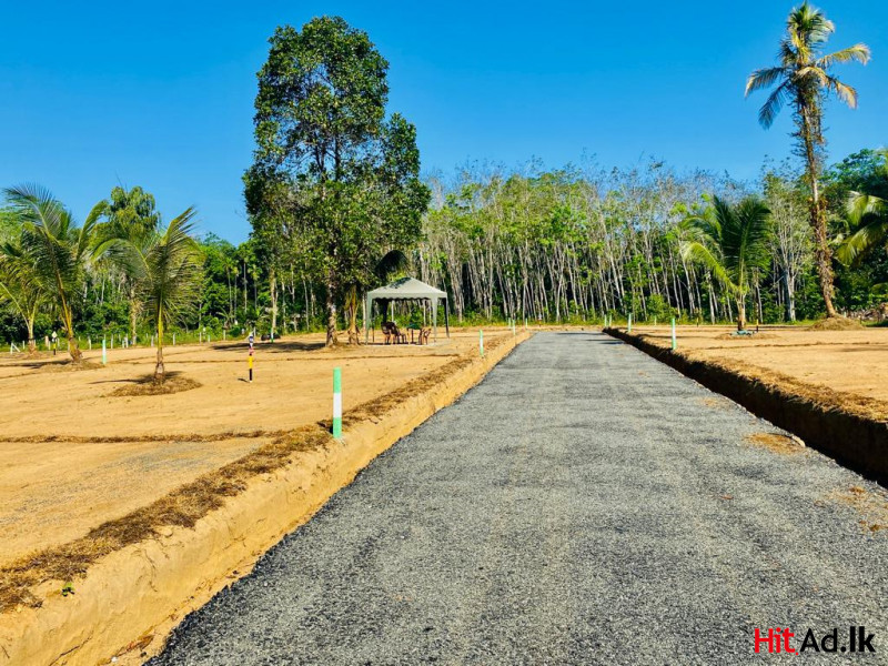 Horana Lands For Sale