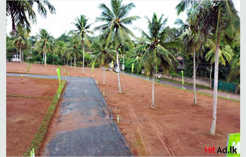 Lands For Sale Near 120 Bus Route