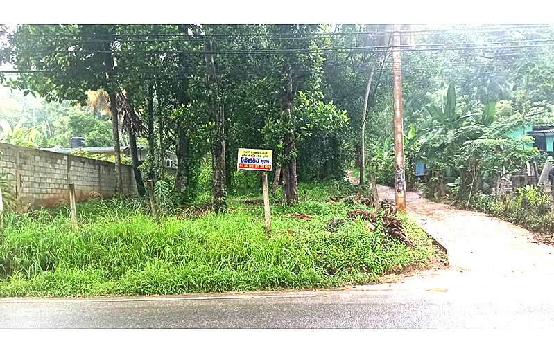 Land for Sale in Palapathwela