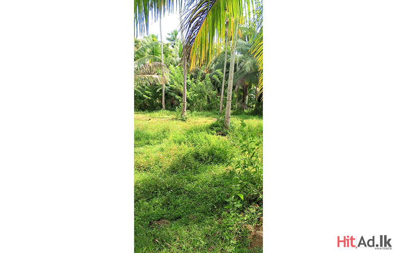 Madampe-Galmuruwa Land for Sale