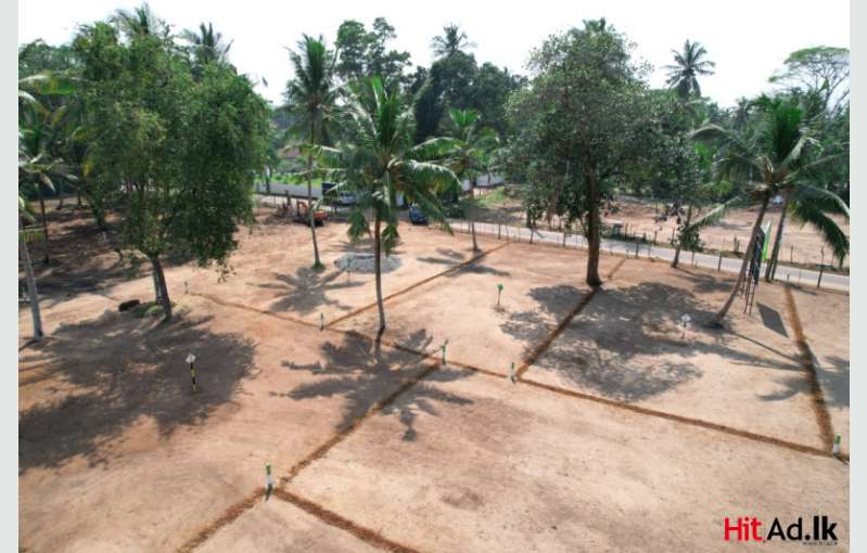 Wadduwa Land For Sale