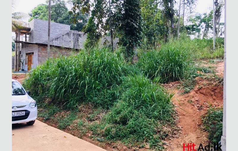 Bare Land For Sale 10p - Gelioya, Kandy - Gampola Main Road