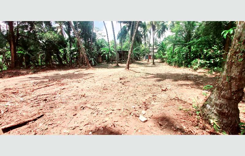 Gampaha land for sale