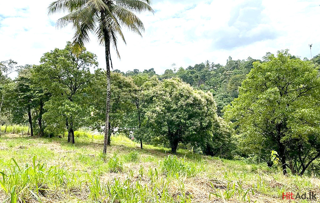 Kandy-Peradeniya Land for Sale