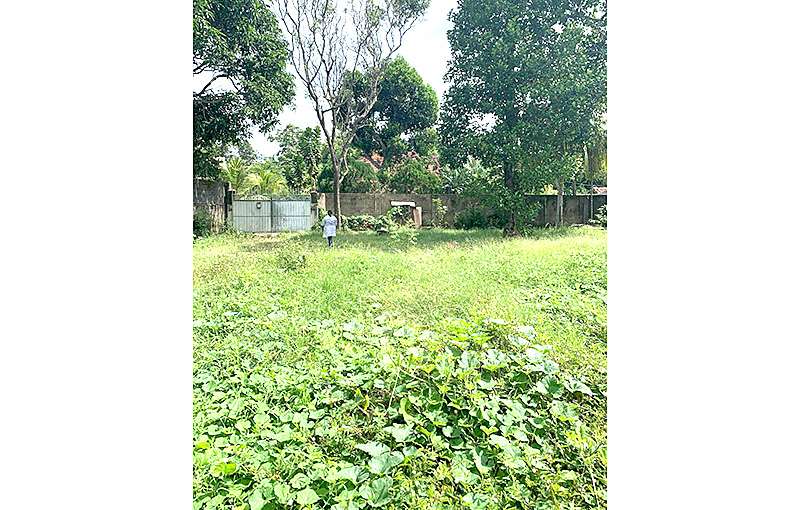 Land for Sale in Mount Lavinia