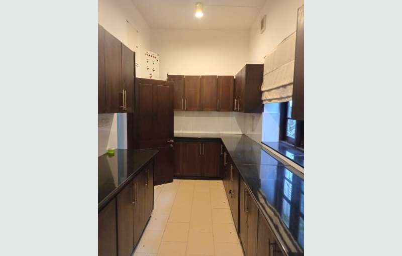 House for Rent or Lease Colombo 7