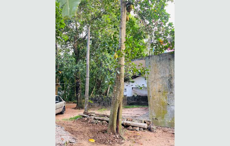 10 Perch Land For Sale In Maharagama