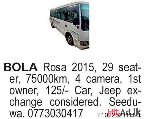 Bola Rosa 2015 Bus