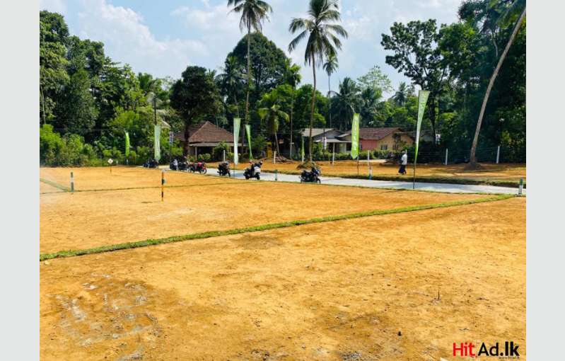 Horana Land For Sale