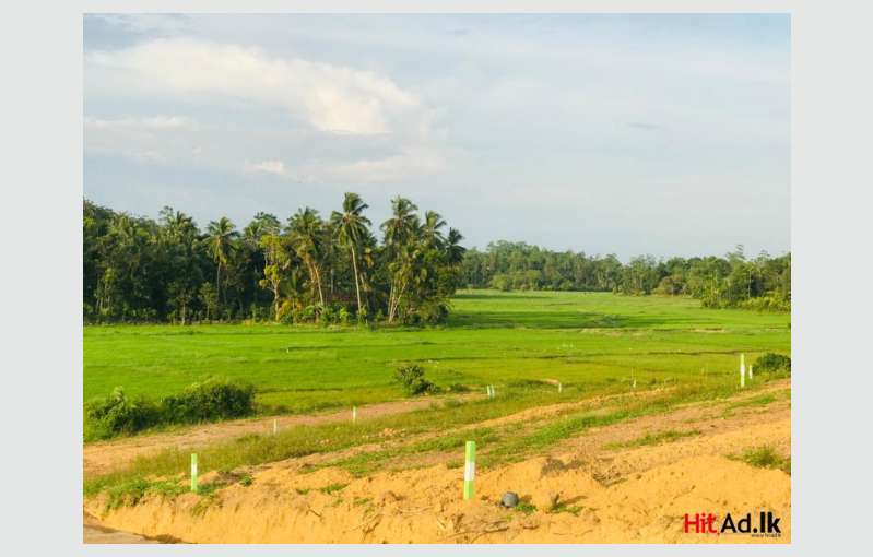 Land Near Benthota