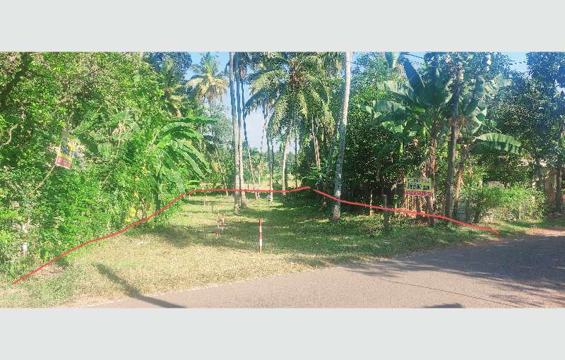 Gampaha land for sale