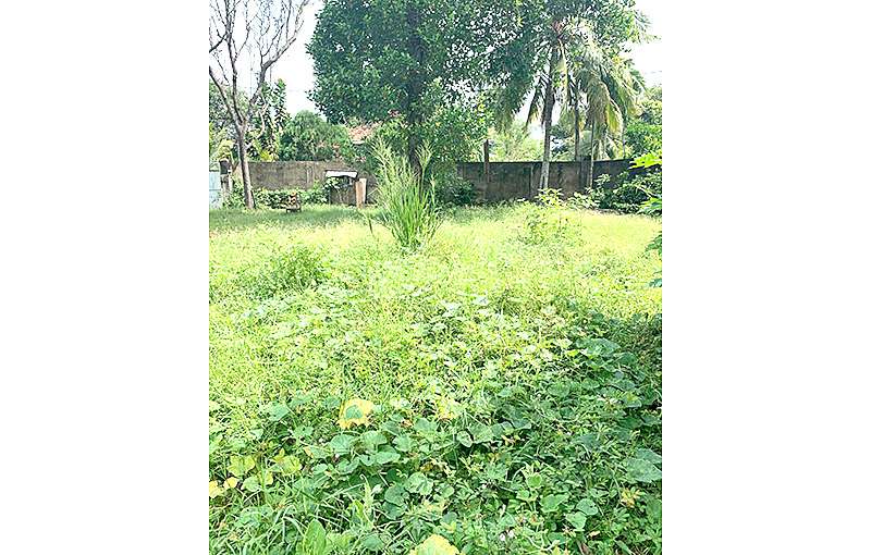 Land for Sale in Mount Lavinia