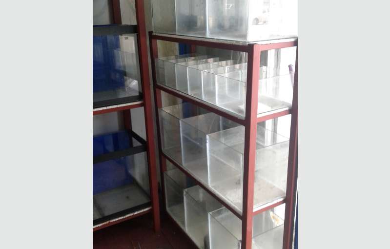 Aquarium For Sale 