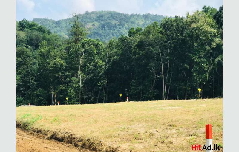 Land For Sale In Meegoda