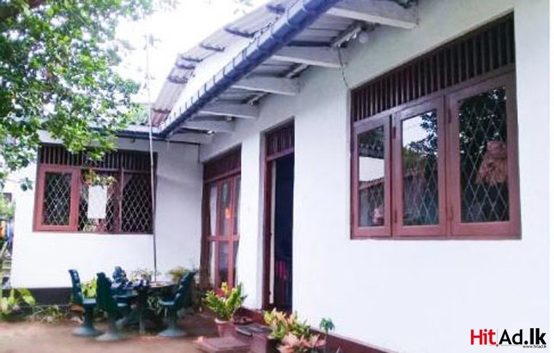 Hitad.lk House for rent in Nugegoda