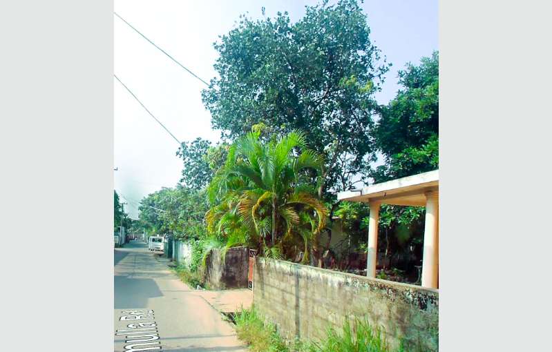 Land With House For Sale In Wellampitiya