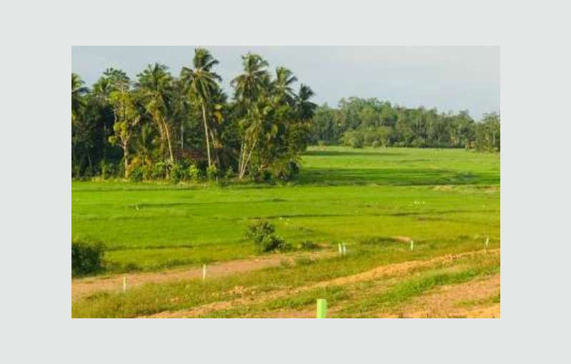 Land For Sale In Induruwa