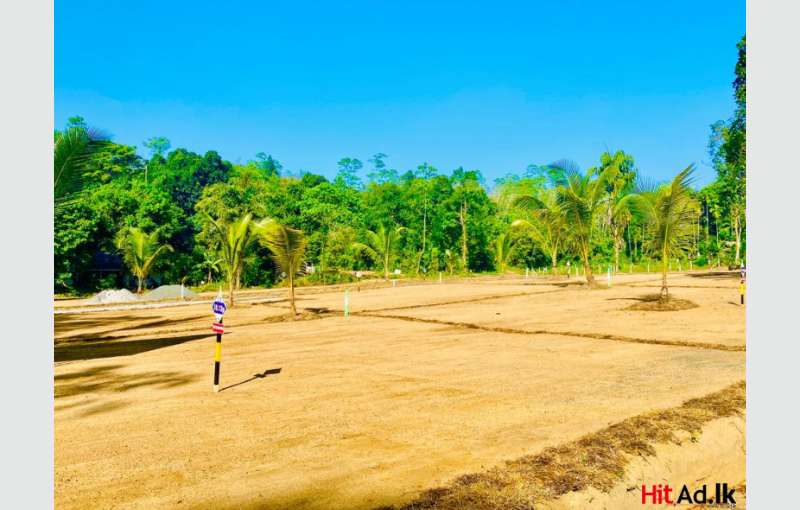 Horana Lands For Sale