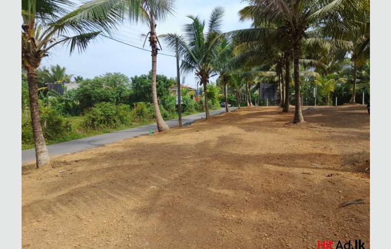 Gonapala Near Lands For Sale