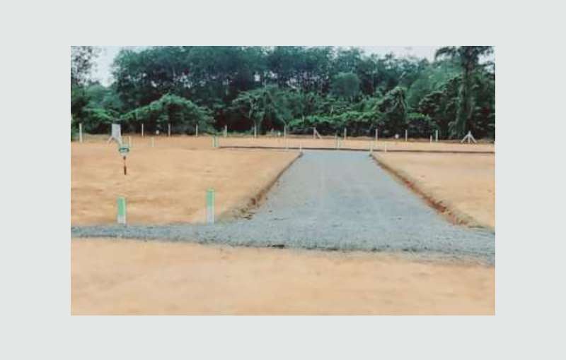 Beautiful land for sale near to Galle road