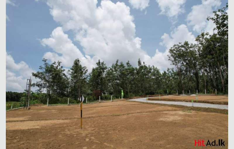 Land For Sale In Homagam