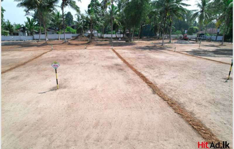 Wadduwa Land For Sale