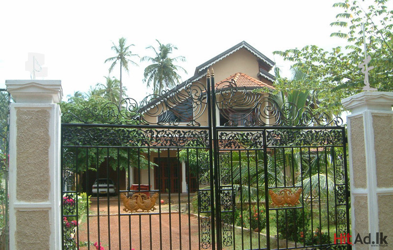 Negombo St.Joshep's Street House for sale Property Houses HitAd.lk