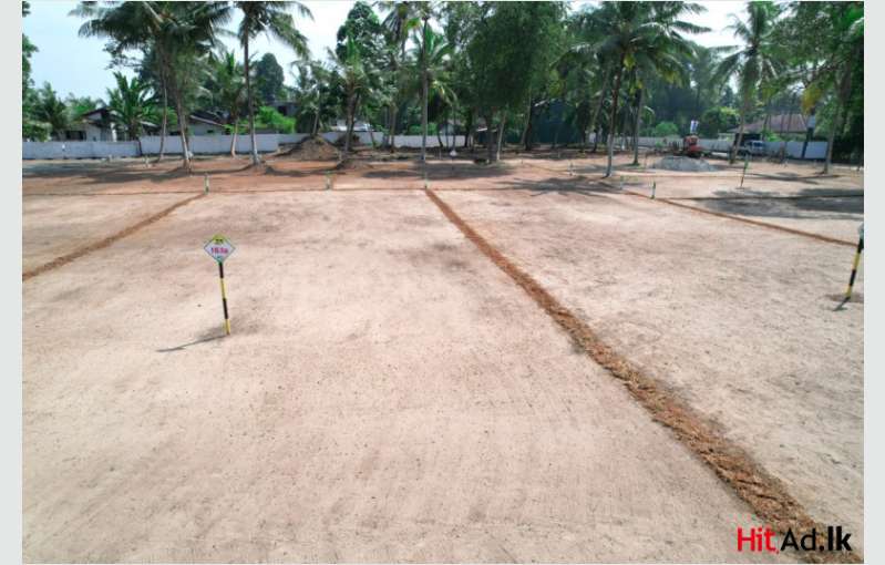 Lands For Sale In Wadduwa