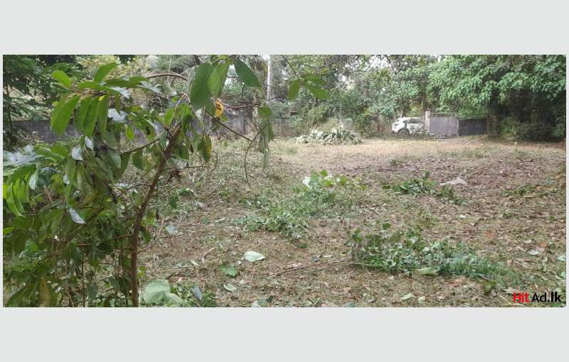 Prime Land For Sale In Battaramulla Near Thalangama Lake