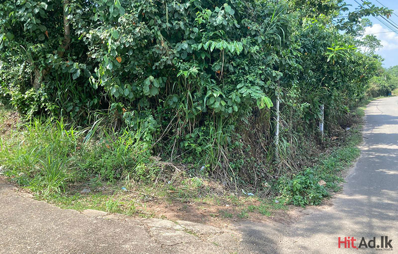 Estates for Sale in Matara