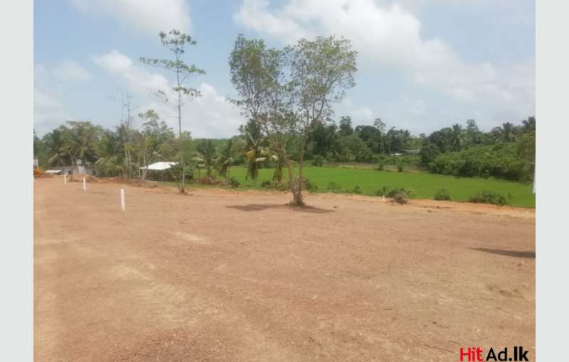 Lands For Sale Near Galle