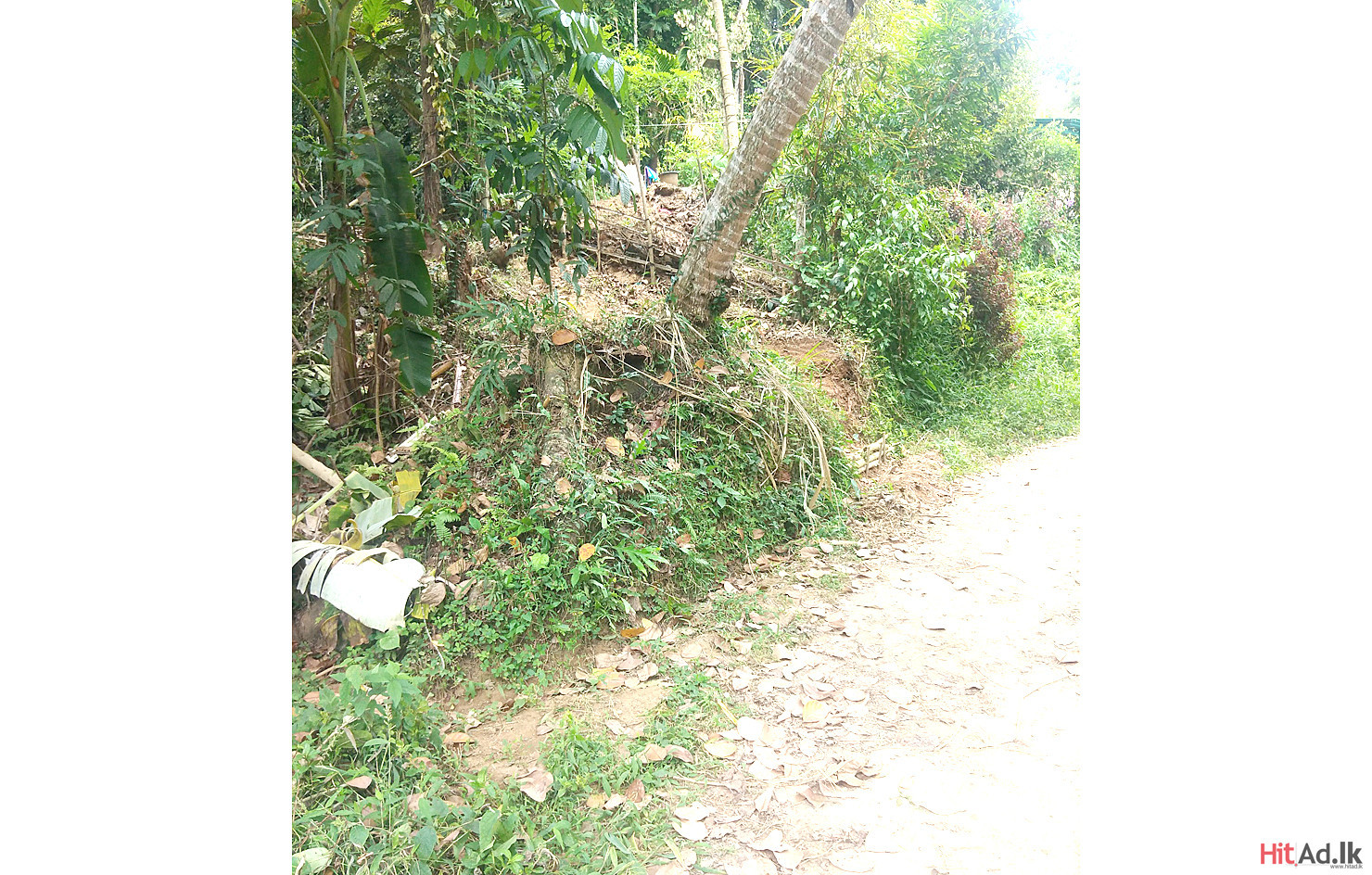 Kandy Land for Sale Property Lands HitAd.lk