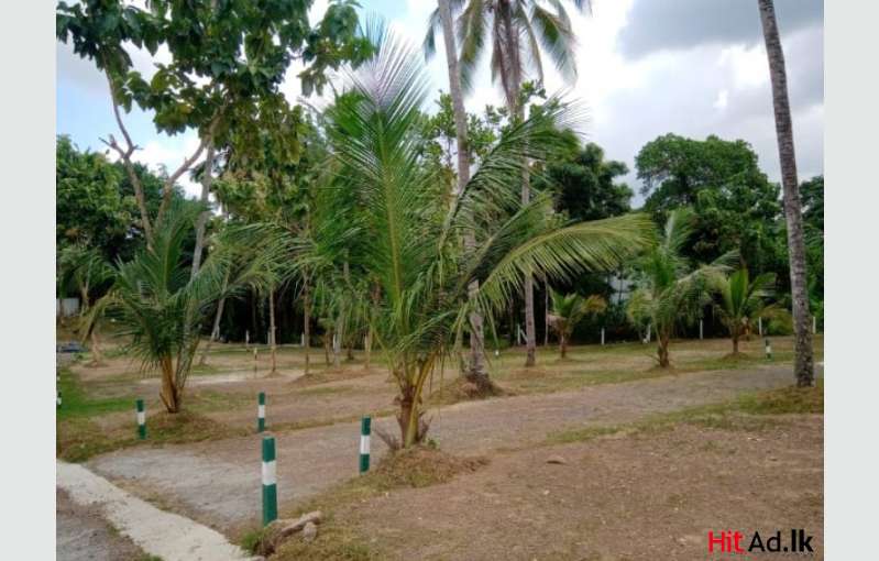 Kadana -Land blocks for sale