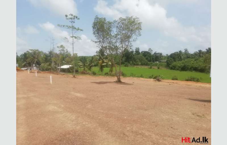 Valuable Plots Near Ambalangoda Miriswaththa Bus Route