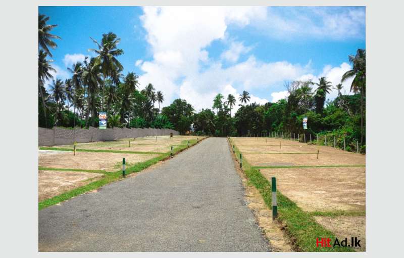 Land for sale in walipanna