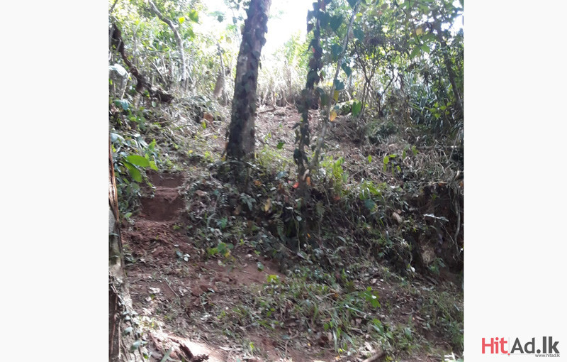 Land for sale in Kandy